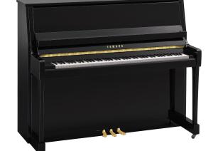 B30