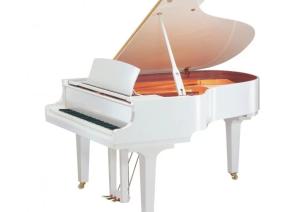 Yamaha GC1