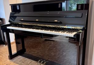 C. Bechstein