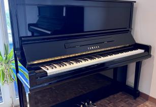 Yamaha U3