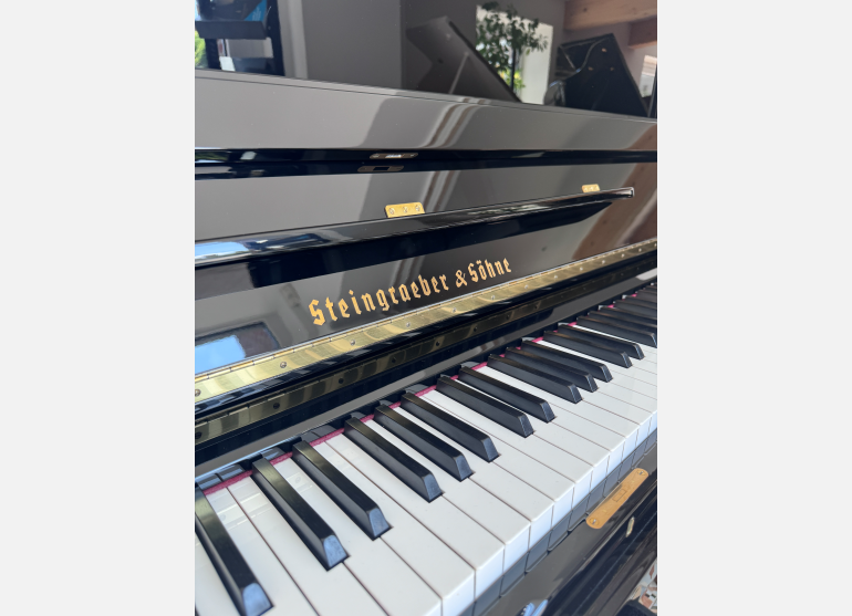 Steingraeber & Söhne 138K