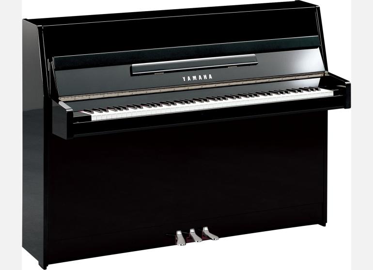 polished ebony chrome