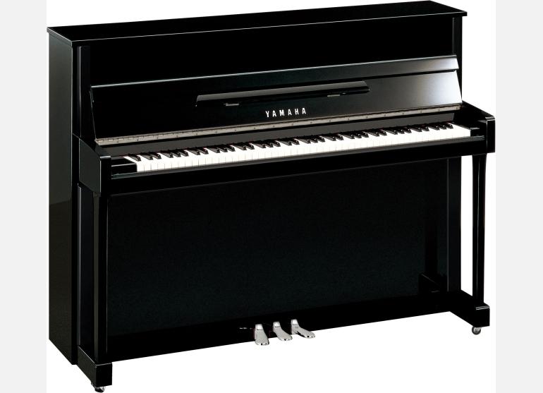 polished ebony chrome