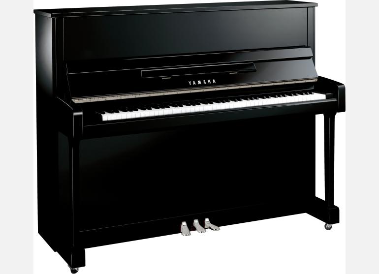 polished ebony chrome