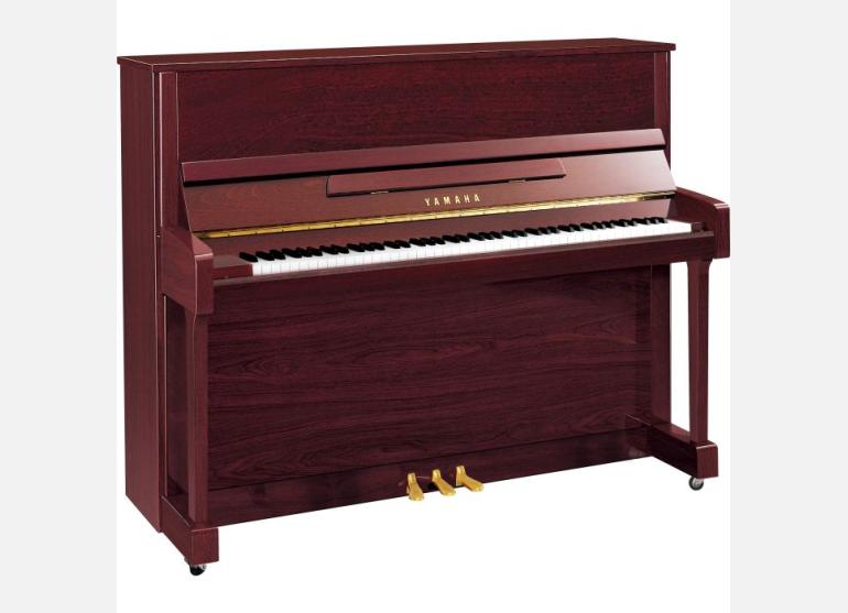polished mahogany