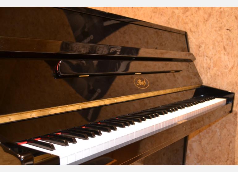 IBACH 108