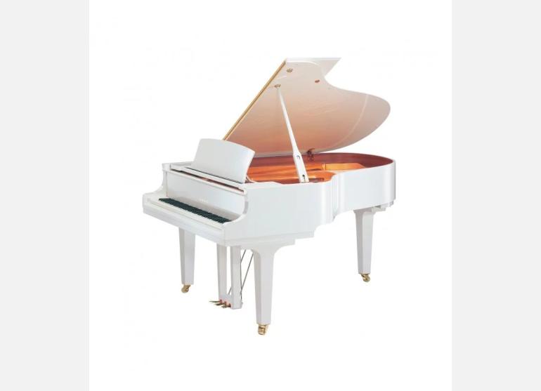 Yamaha GC1 