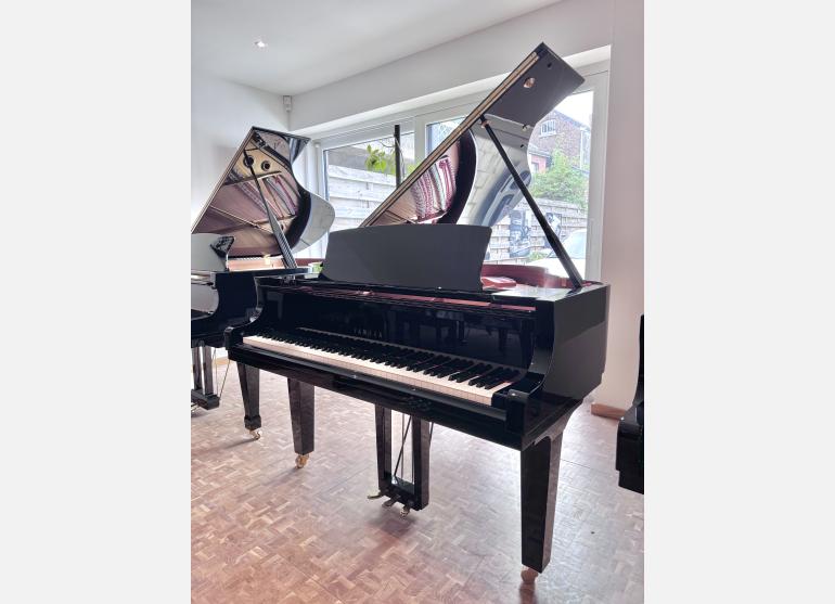 Yamaha c2x