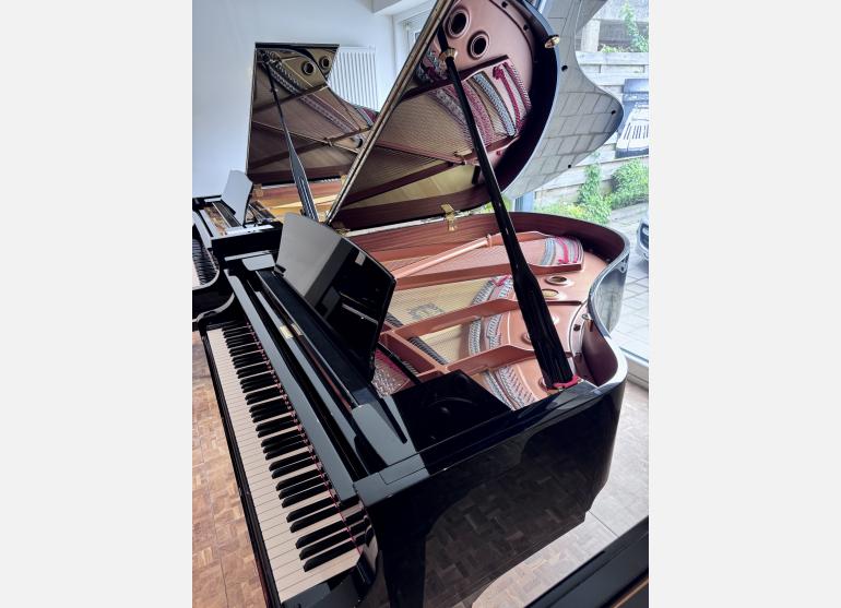 Yamaha c2x