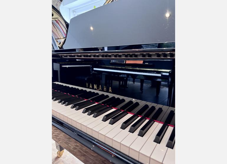 Yamaha c2x