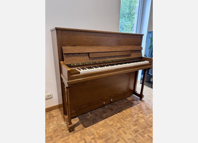 Steingraeber 120