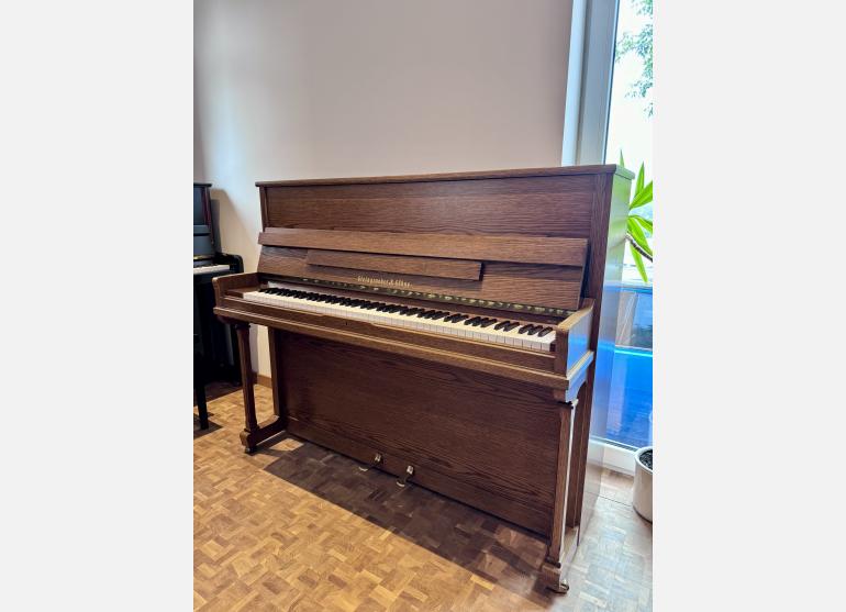 Steingraeber 120