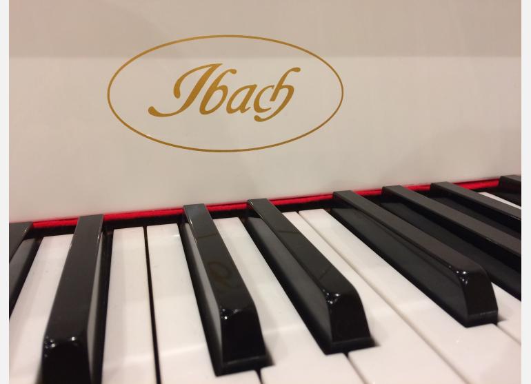 Ibach 101