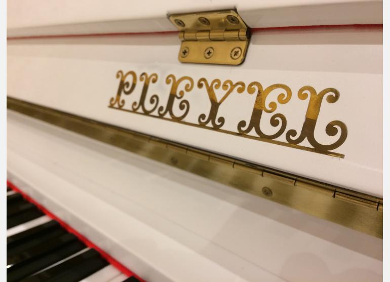 Pleyel (Schimmel)