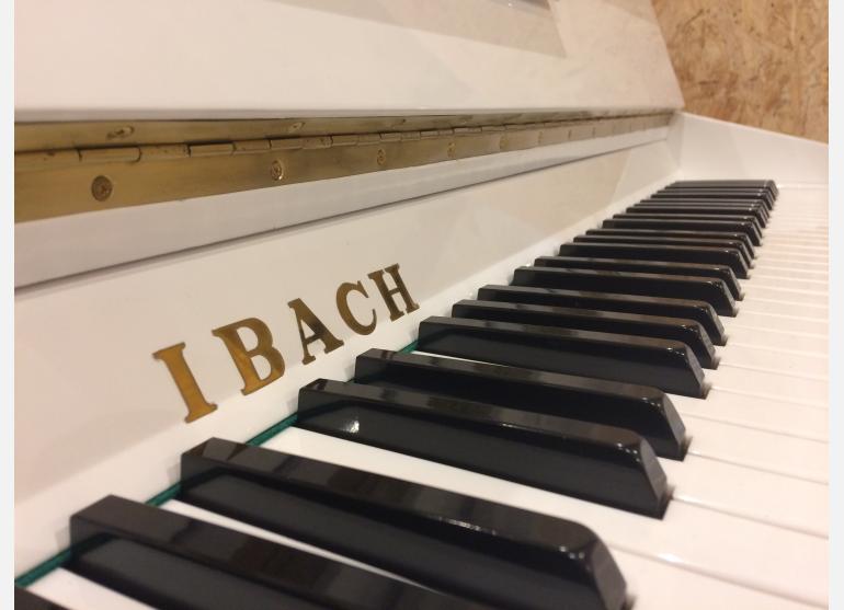 Ibach 101