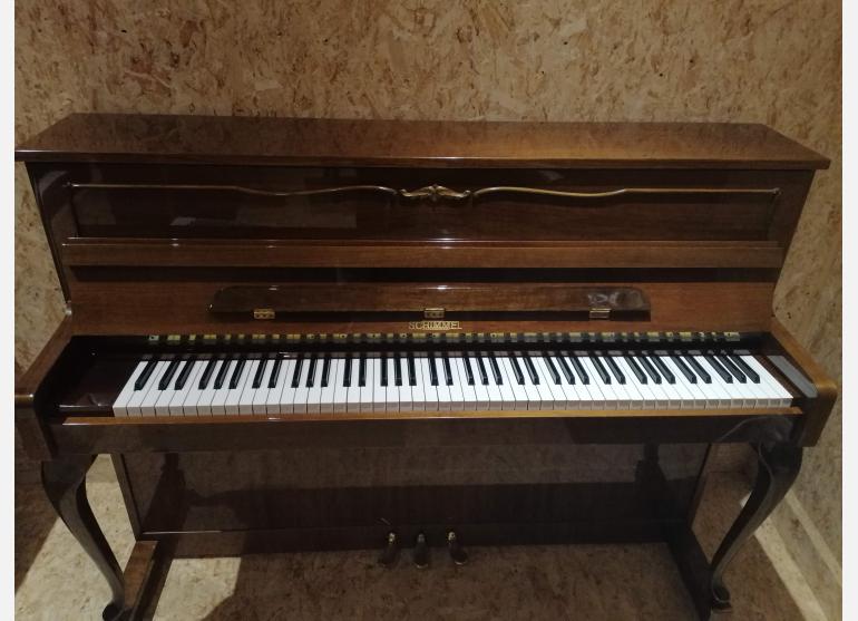 Schimmel 109