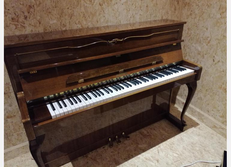 Schimmel 109