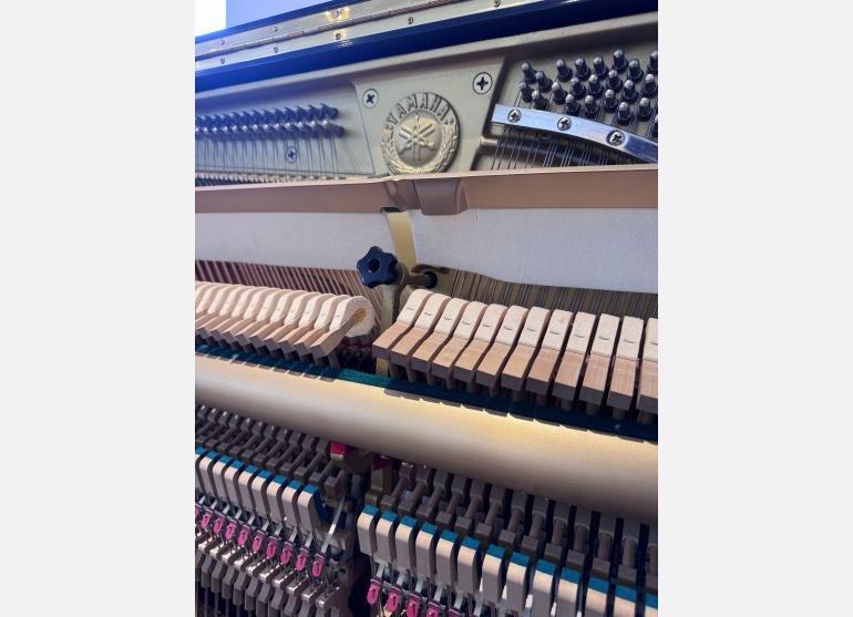 Yamaha U3