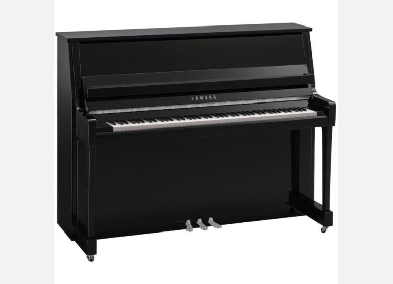 B20